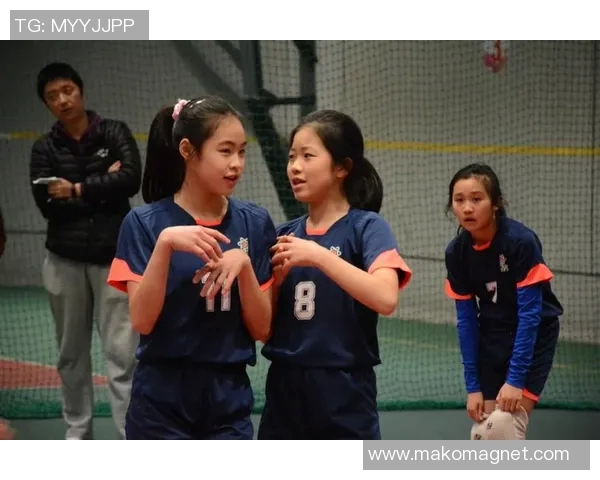 成都排球队展现卓越团队协作精神助力联赛精彩表现