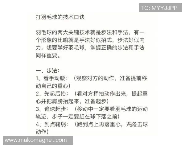 成都羽毛球队防守策略揭秘:深度解析羽毛球技术与战术的完美结合