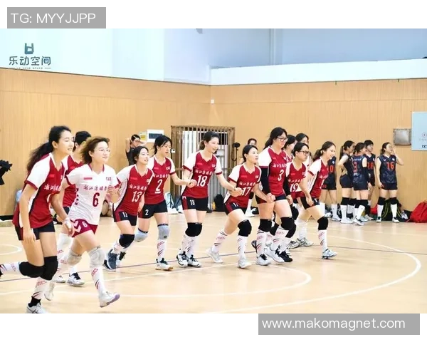 杭州排球队配合变革引发热议助力球队新征程