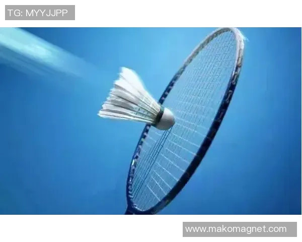 深入分析杭州羽毛球队快攻战术的独特魅力与实战应用